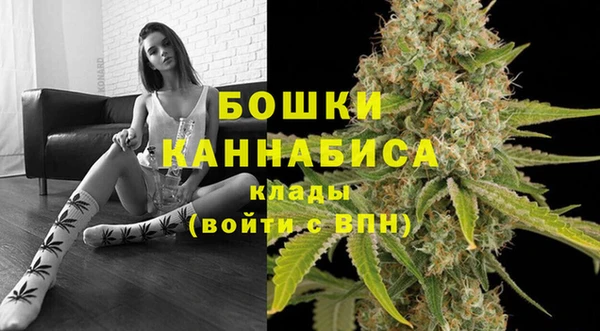 амф Елабуга