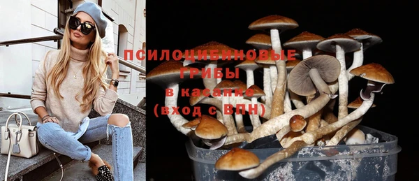 индика Верея