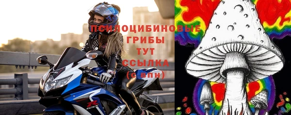 винт Осташков