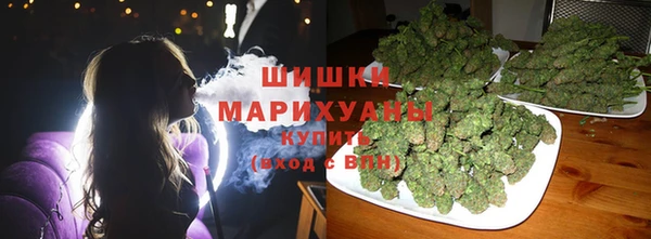 винт Осташков